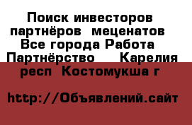 Поиск инвесторов, партнёров, меценатов - Все города Работа » Партнёрство   . Карелия респ.,Костомукша г.